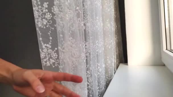 Flickan trycker tillbaka den vackra gardinen och sätter en gryta med en kaktus på fönsterbrädan — Stockvideo