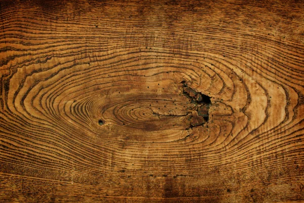 Beautiful wooden surface with ring tree cut background.