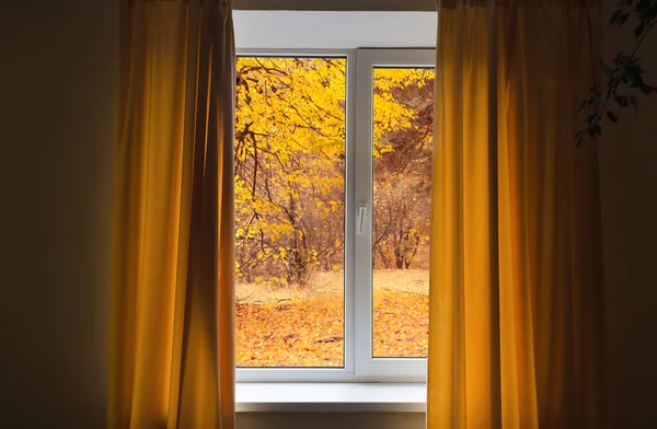 Okno Pokoju Widok Jesienny Park Opadającymi Liśćmi Drzewie — Zdjęcie stockowe