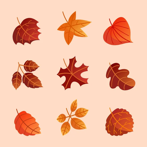 Leaves Fading Color Yellow Brown Fall Season — Stock Vector