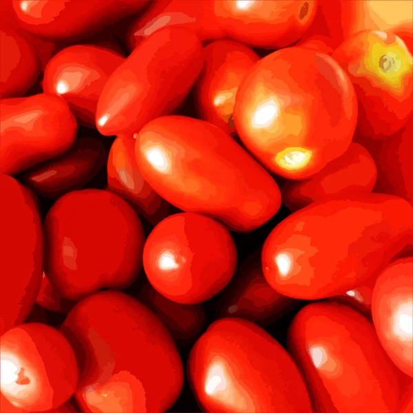 Vektorhintergrund Mit Dem Bild Roter Tomaten Ernte Der Reifen Tomaten Vektorgrafiken