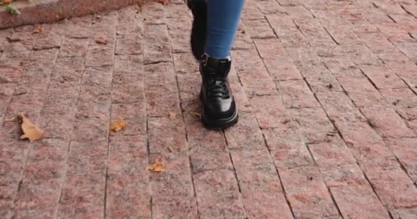 Cizmele de femei merg pe un trotuar în ziua de toamnă — Videoclip de stoc