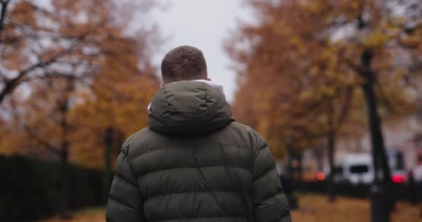 Homem caminhando pelo beco do outono, vista traseira — Vídeo de Stock