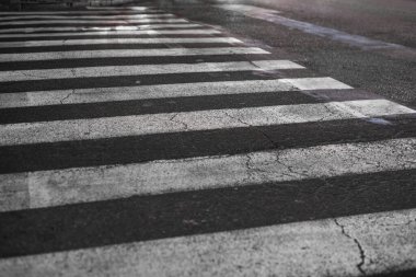 Zebra gece bir yoldan karşıya geçiyor.