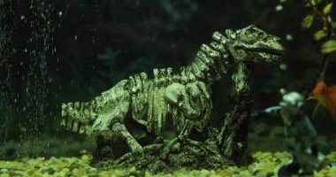 Okyanusun dibindeki dinozor iskeleti