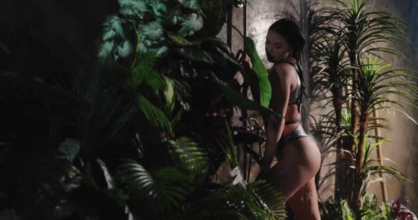 Femeie sexy cu fese frumoase ia un duș tropical — Videoclip de stoc