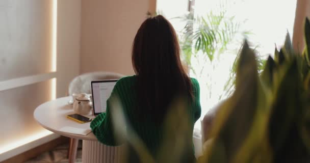 Freelancer mujer trabaja por ordenador portátil en la cafetería, vista trasera — Vídeo de stock