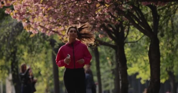 Довольно спортивная женщина бегает в летнем парке с наушниками, слушая музыку — стоковое видео