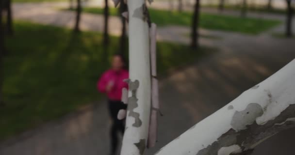 Pretty sporty woman jogging in the summer park with earphones listening to music, top view — Stockvideo