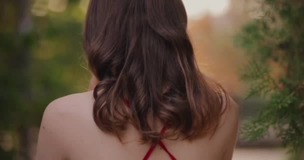 Woman Touching Her Beautiful Brunette Hair Summer Day Back View — Stock video