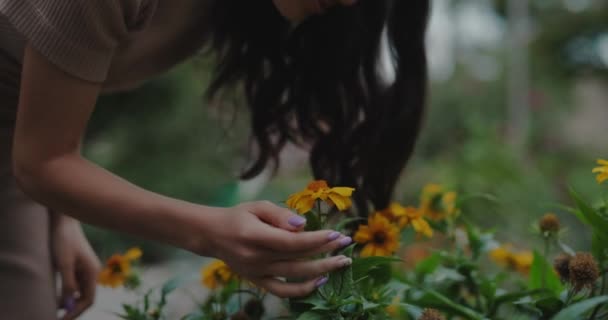 女性は公園で黄色の花を嗅ぐ スローモーション — ストック動画