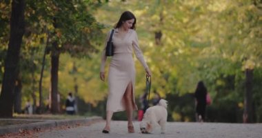 Sonbahar parkında köpeğiyle yürüyen bir kadın.