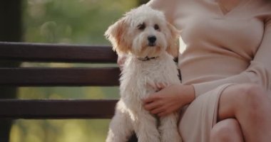 Köpeğini okşayan kadın parkta bir bankta oturuyor, ağır çekimde.
