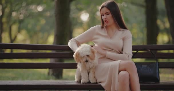 Γυναίκα Χαϊδεύει Σκύλο Της Κάθεται Ένα Παγκάκι Ένα Πάρκο Αργή — Αρχείο Βίντεο