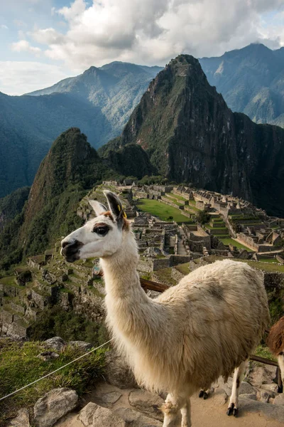 Machu Picchiu Archaelogical Site Peru — Foto de Stock
