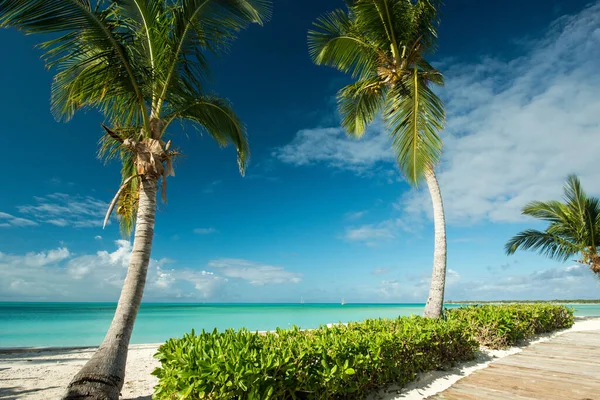 Long Isand, Bahamalar 'ın güzel gölü.