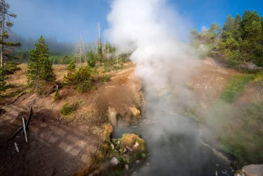 Doğal kaplıca, Yellowstone Milli Parkı