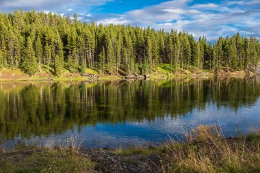 Water reflection at Yellowstone National Park