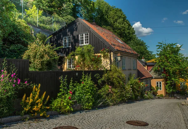 Old Houses Oslo Norway — ストック写真