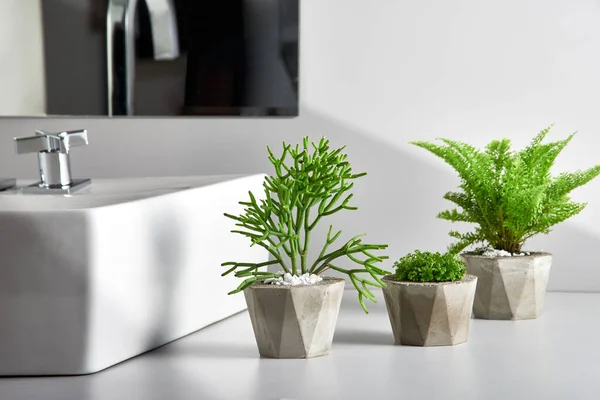 Zelené Rostliny Vázách Bílém Stole — Stock fotografie