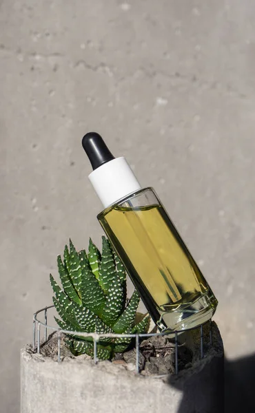 Butelka szklana z olejkiem do twarzy z pipetą w soczystym garnku, martwa natura — Zdjęcie stockowe