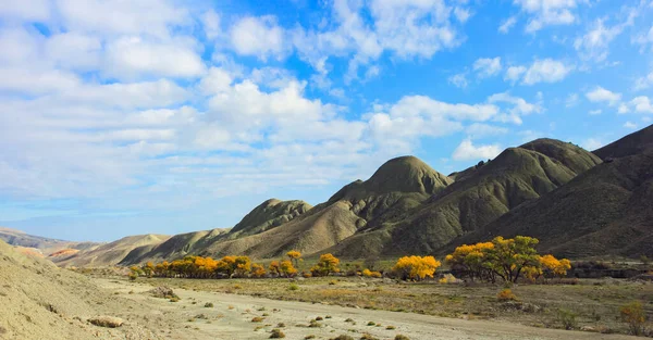 Bellissimi Alberi Gialli Vicino Fiume Regione Dei Khizi Azerbaigian — Foto Stock