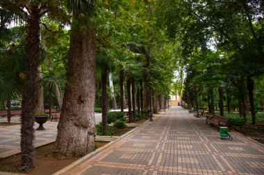 Ganja şehrinde asırlık ağaçların olduğu eski Khan Parkı. Azerbaycan.