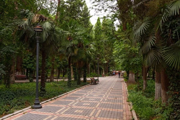 Antigo Parque Khan Com Árvores Centenárias Cidade Ganja Azerbaijão — Fotografia de Stock