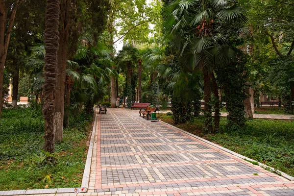 Antigo Parque Khan Com Árvores Centenárias Cidade Ganja Azerbaijão — Fotografia de Stock