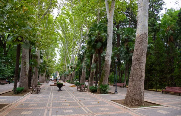 Antigo Parque Khan Com Árvores Centenárias Cidade Ganja Azerbaijão — Fotografia de Stock