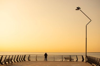A bird sitting on a lantern on Primorsky Boulevard. Baku. Azerbaijan.