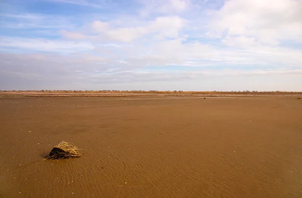 Όμορφη Υφή Άμμου Δίπλα Στη Θάλασσα Πλεξούδα Του Shakhov Μπακού — Φωτογραφία Αρχείου