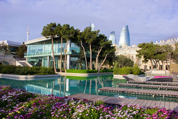 Baku. Azerbaijan. 03.24.2020 year. Beautiful flowers are planted in venice.