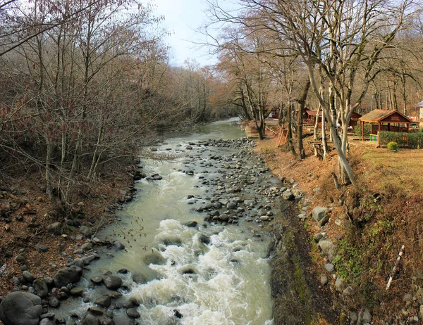 Lerik Masalli Bölgesi 2018 Azerbaycan Nehir Kıyısında Güzel Bir Dinlenme — Stok fotoğraf