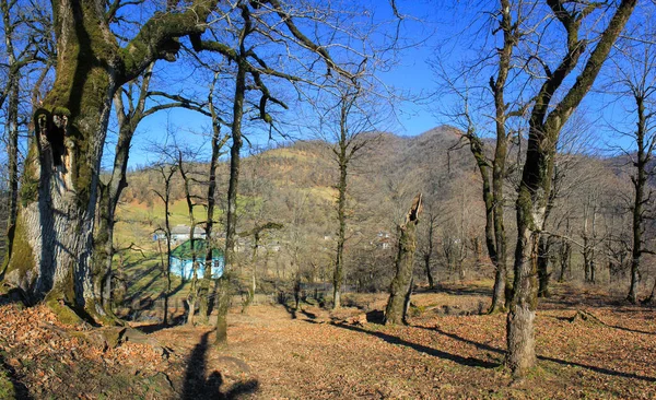 リーク マザリ地方 2018年11月15日 アゼルバイジャン 鬱蒼とした森の中の小さな村 — ストック写真
