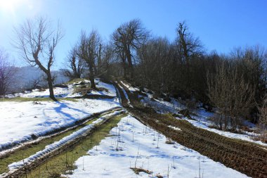 Kış ormanındaki iki yol tek bir yola bağlanır. Masalli bölgesi. Azerbaycan.