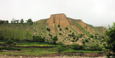 Dağ ağaçlar ve yeşil otlarla kaplıdır.