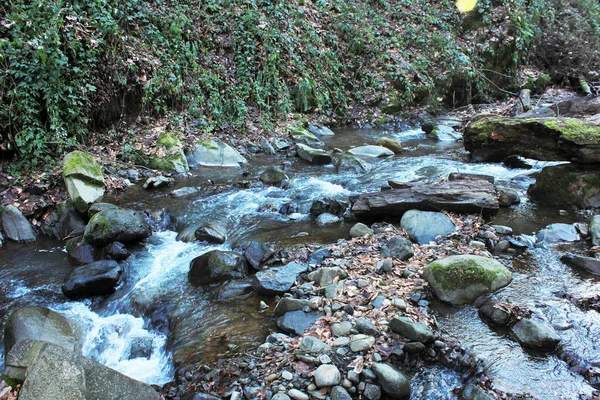 Belle Rivière Avec Cascades Dans Forêt Lerik Région Masalli Azerbaïdjan — Photo