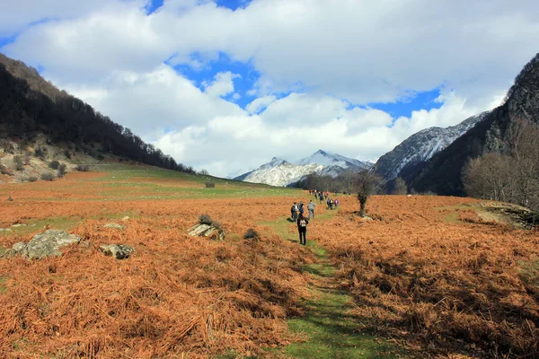 Turistler güzel karlı dağlara doğru yürüyorlar. Gabala. Azerbaycan.