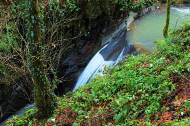 Ormandaki güzel şelale. Lerik. Masalli bölgesi. Azerbaycan.