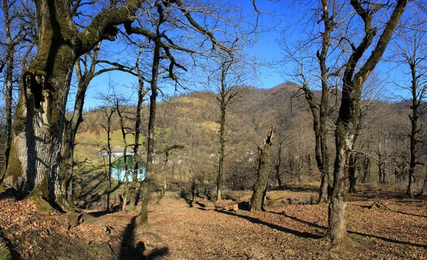 Lerik Région Masalli 2018 Azerbaïdjan Petit Village Dans Une Forêt — Photo