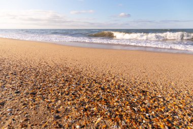 Güzel sarı kumlara el salla. Hazar Denizi.