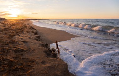 Güzel sarı kumlara el salla. Hazar Denizi.