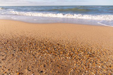 Güzel sarı kumlara el salla. Hazar Denizi.