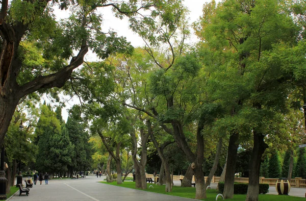 Bakü Bulvarı 'nda güzel bir ara sokak. Azerbaycan.
