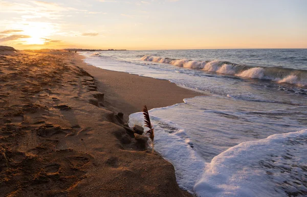 Güzel sarı kumlara el salla. Hazar Denizi.