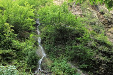 Ormandaki dağlardan güzel temiz nehirler..