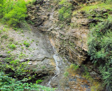 Ormandaki dağlardan güzel temiz nehirler..