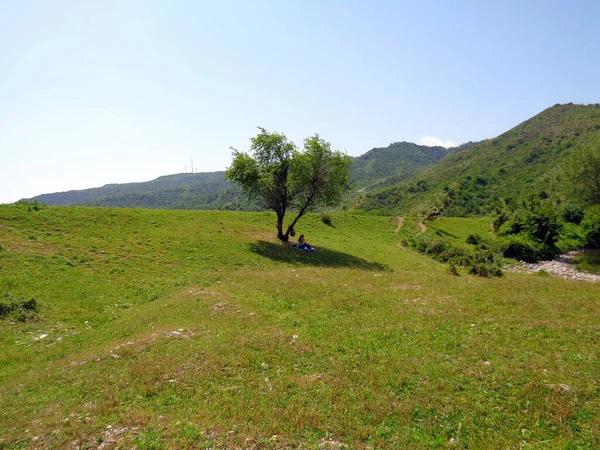 Κορίτσι Αναπαύεται Κάτω Από Ένα Δέντρο Στη Σκιά — Φωτογραφία Αρχείου