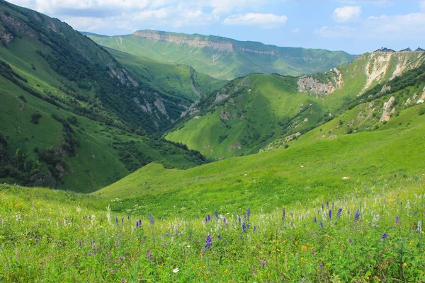 Красивые Зеленые Горы Деревня Лаза Кусарская Область Азербайджан — стоковое фото